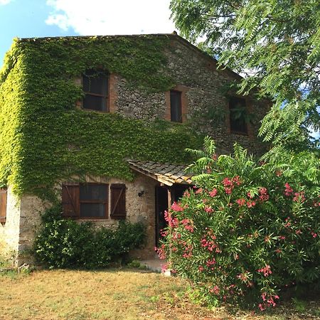 Podere Conte Racani Amelia Exteriér fotografie