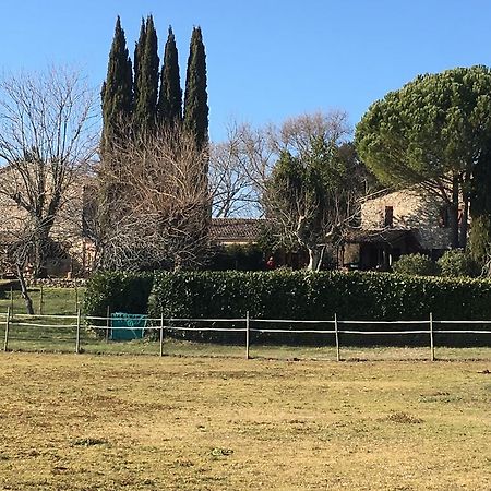Podere Conte Racani Amelia Exteriér fotografie