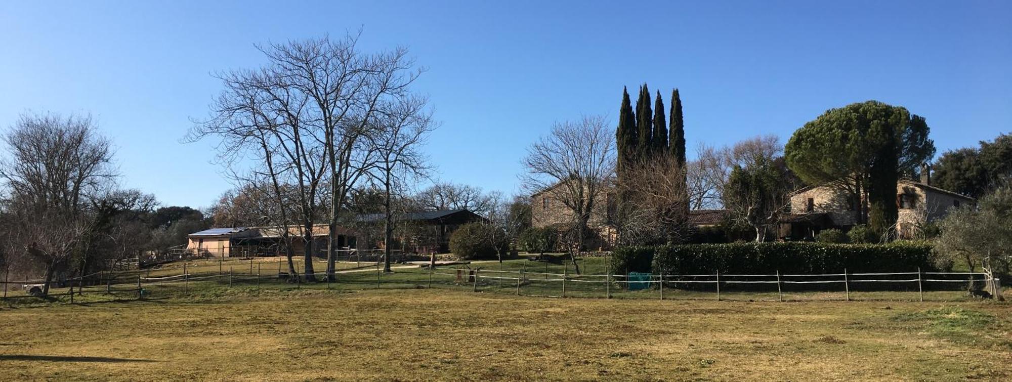 Podere Conte Racani Amelia Exteriér fotografie