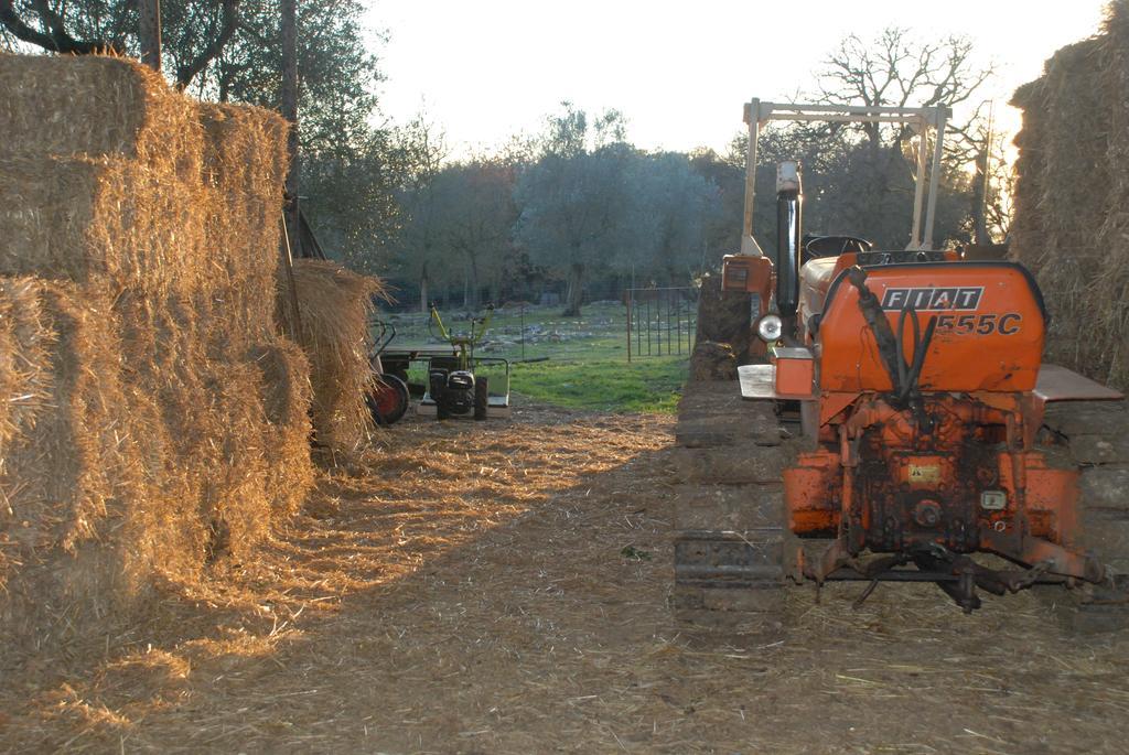 Podere Conte Racani Amelia Exteriér fotografie