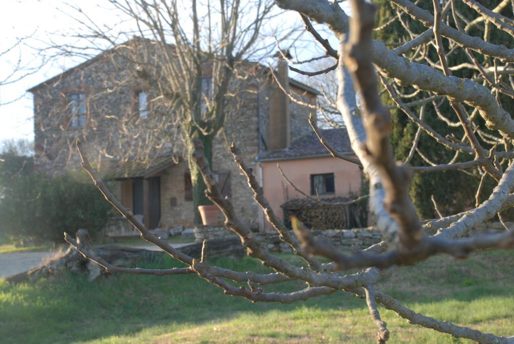 Podere Conte Racani Amelia Exteriér fotografie