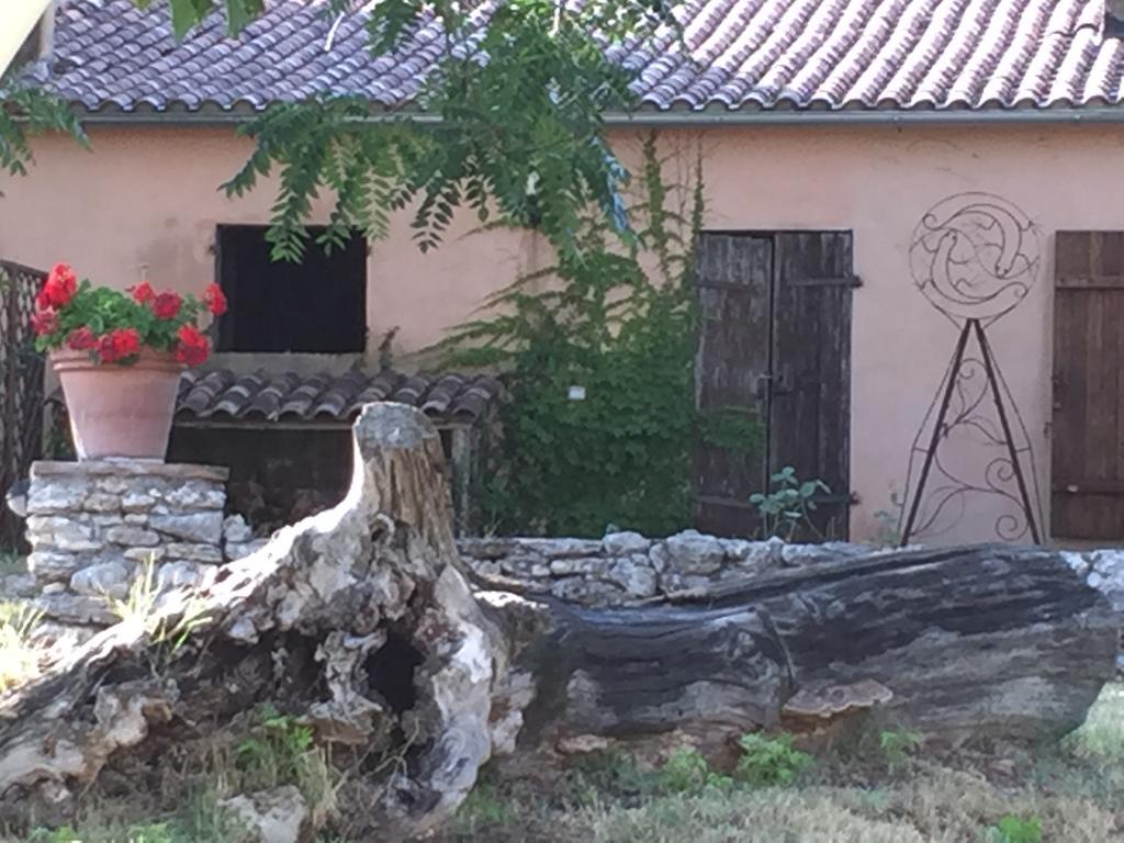 Podere Conte Racani Amelia Exteriér fotografie