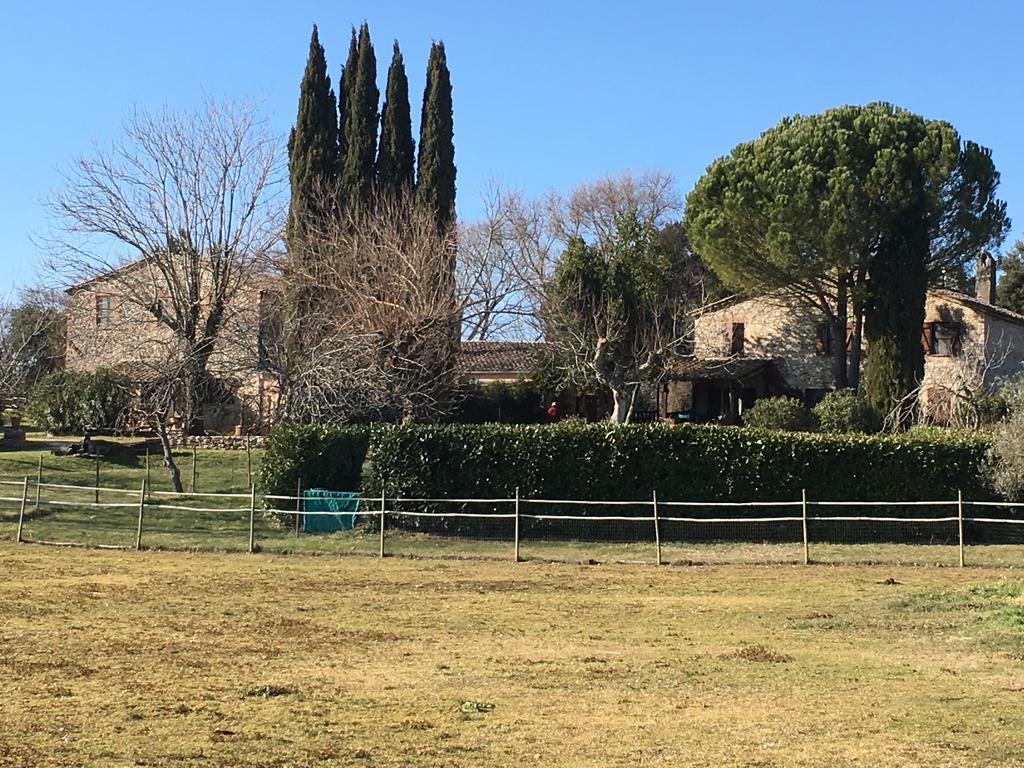 Podere Conte Racani Amelia Exteriér fotografie
