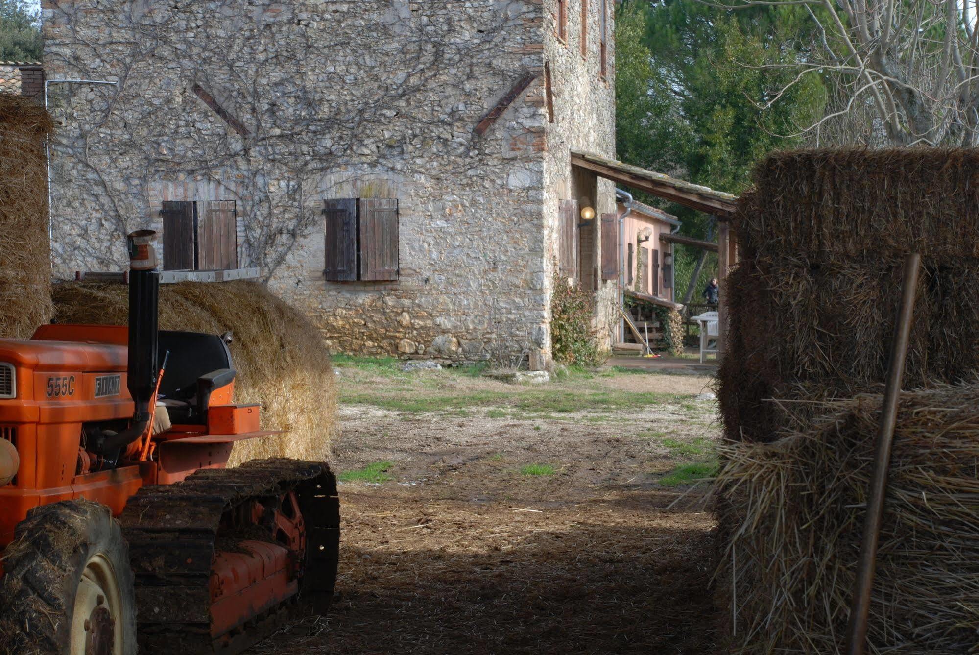 Podere Conte Racani Amelia Exteriér fotografie