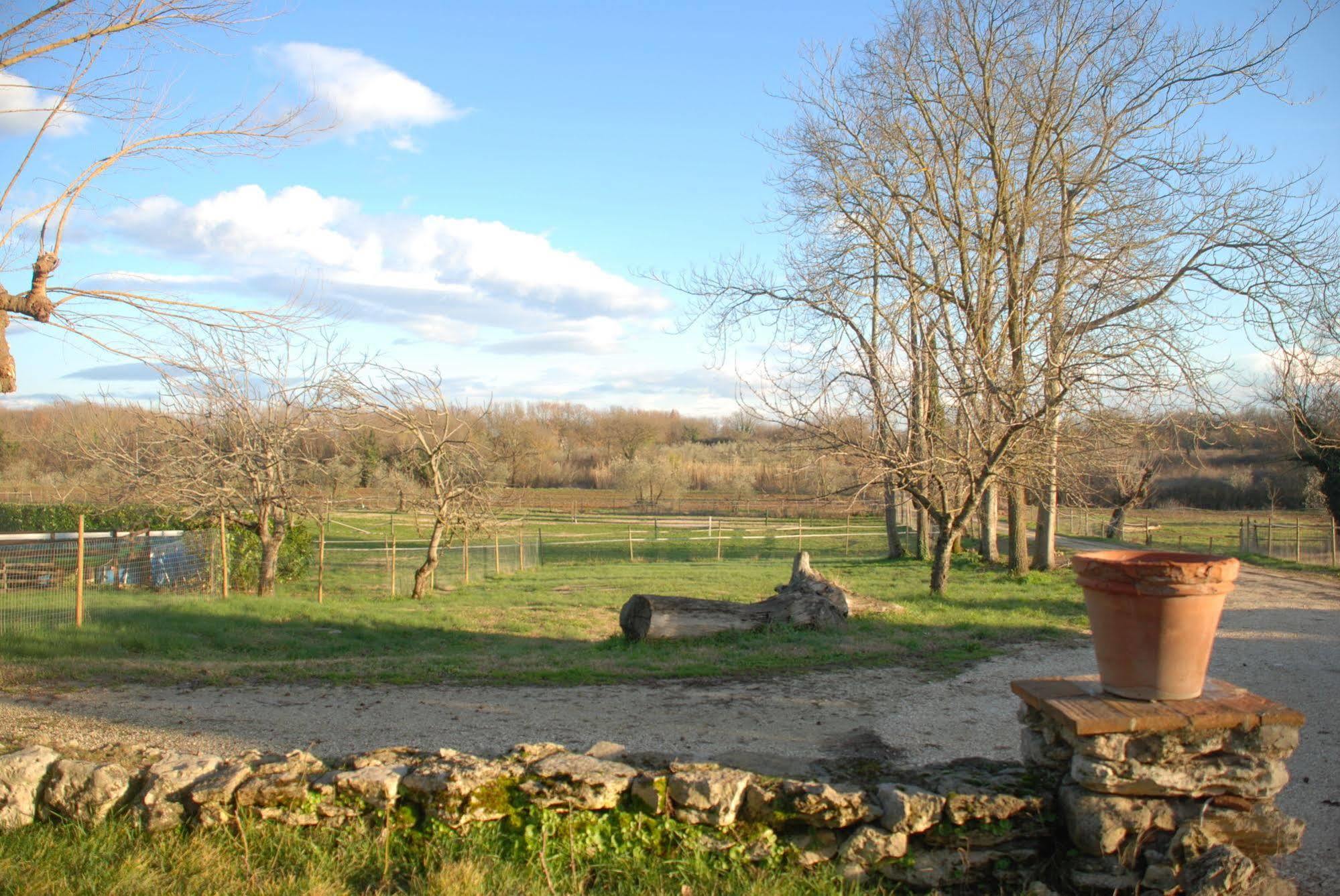 Podere Conte Racani Amelia Exteriér fotografie
