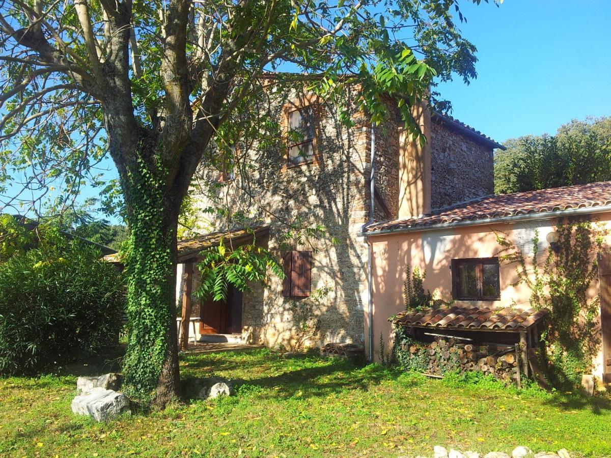 Podere Conte Racani Amelia Pokoj fotografie